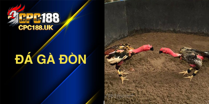 Trải Nghiệm Sân Chơi Đá Gà Đòn Truyền Thống Đầy Kịch Tính Tại CPC188